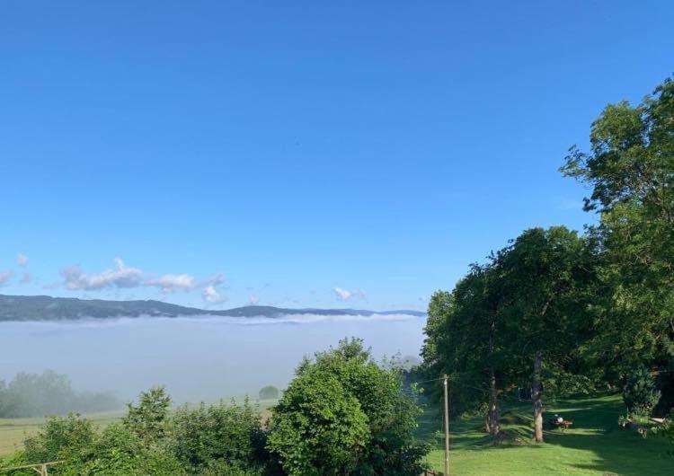 Burggasthof Weissenstein Regen Dış mekan fotoğraf