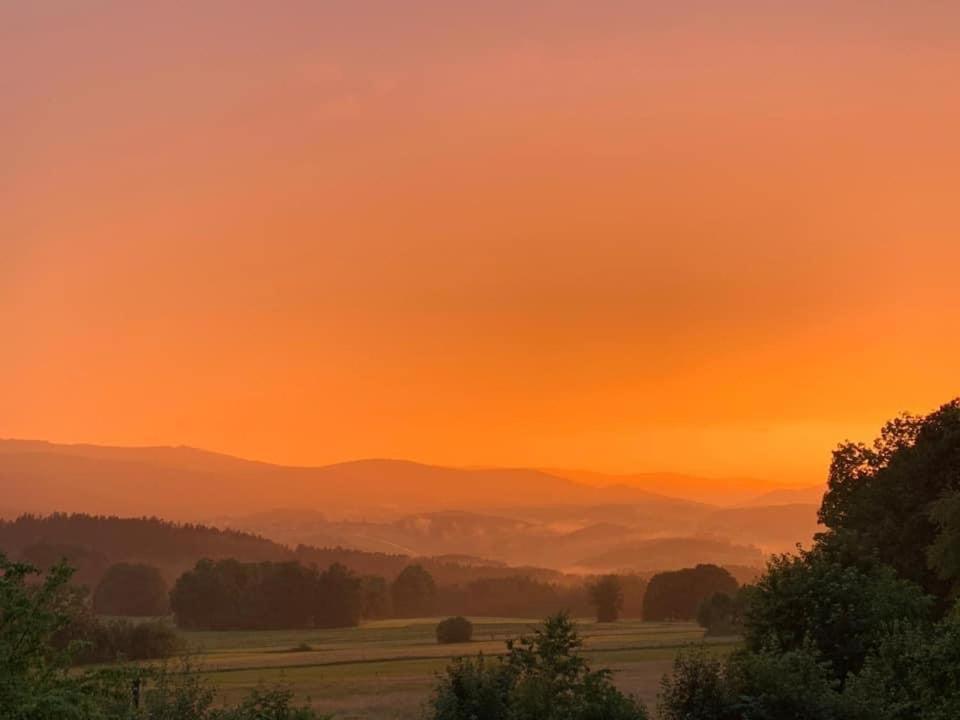 Burggasthof Weissenstein Regen Dış mekan fotoğraf